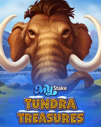 Portada de Mystake Tundra Treasures — Thunderspin